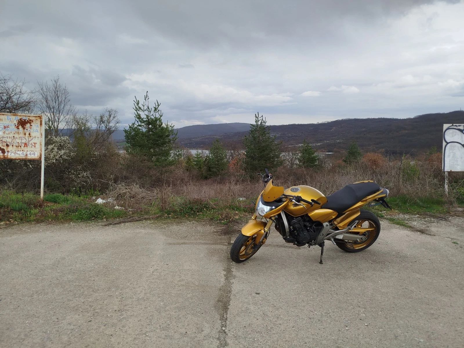 Honda Hornet  - изображение 4