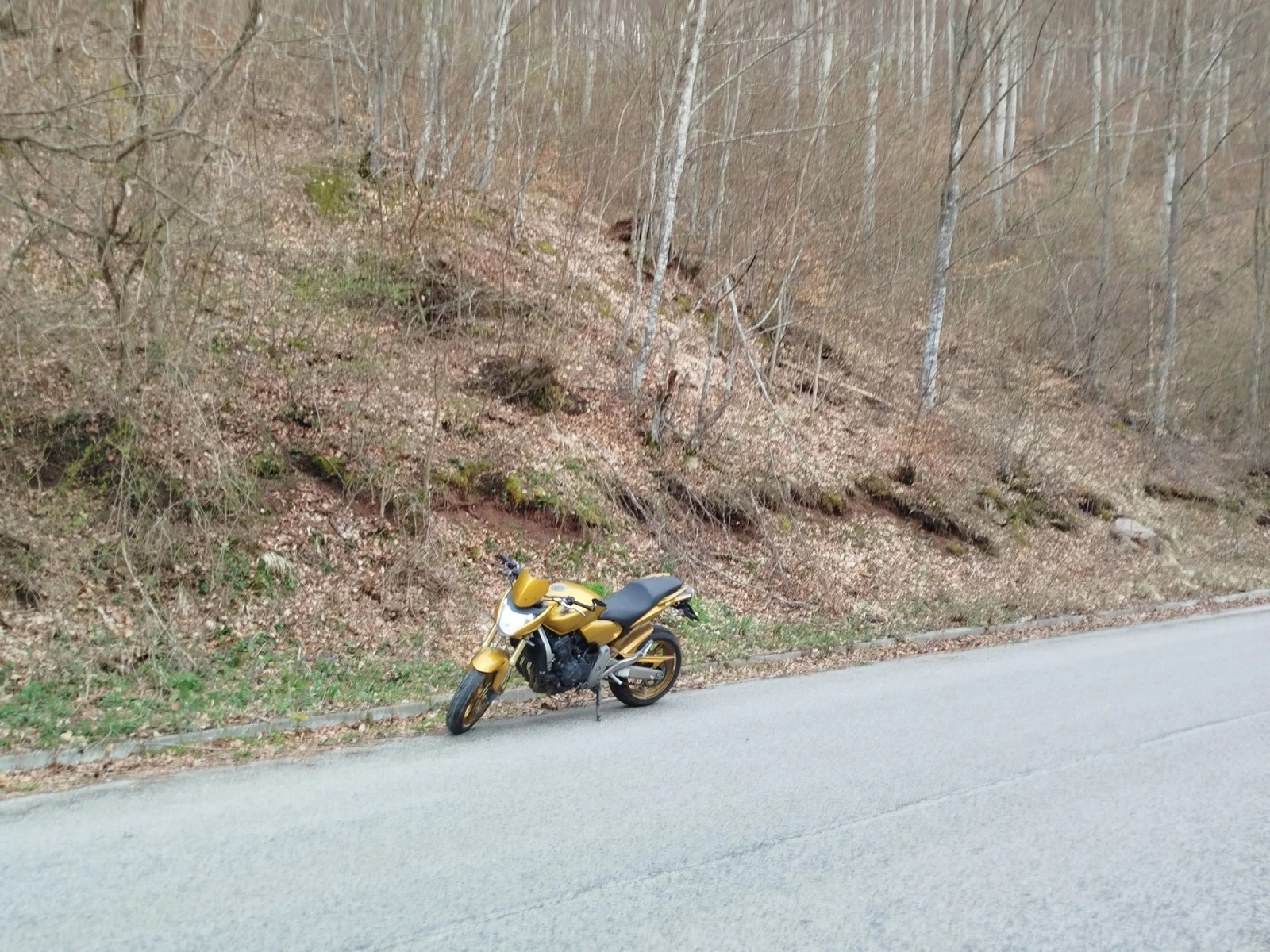 Honda Hornet  - изображение 3
