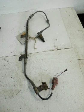 ����� �� �������� �� ��� ������ ����� ��� ����� ������ ����