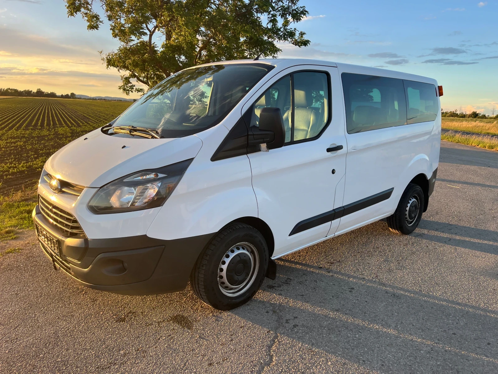 Ford Transit Custom 300 L1, снимка 3 - Автомобили и джипове - 54875267
