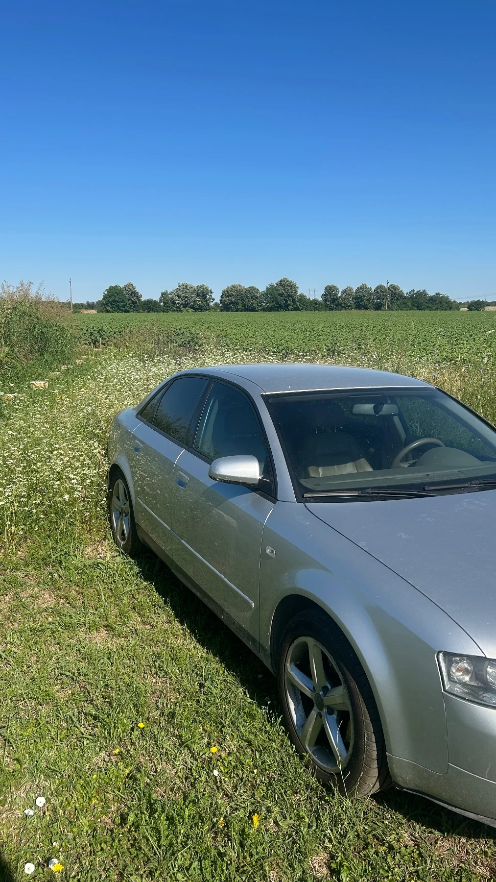 Audi A4 Quattro  | Mobile.bg � ����������� 10