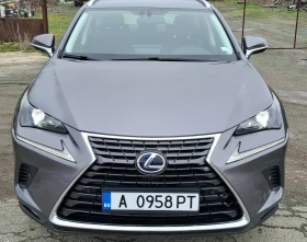 ����� �� �������� �� Lexus NX 300h