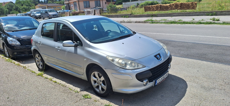 Peugeot 307 1.6 HDI, снимка 1 - Автомобили и джипове - 46260958