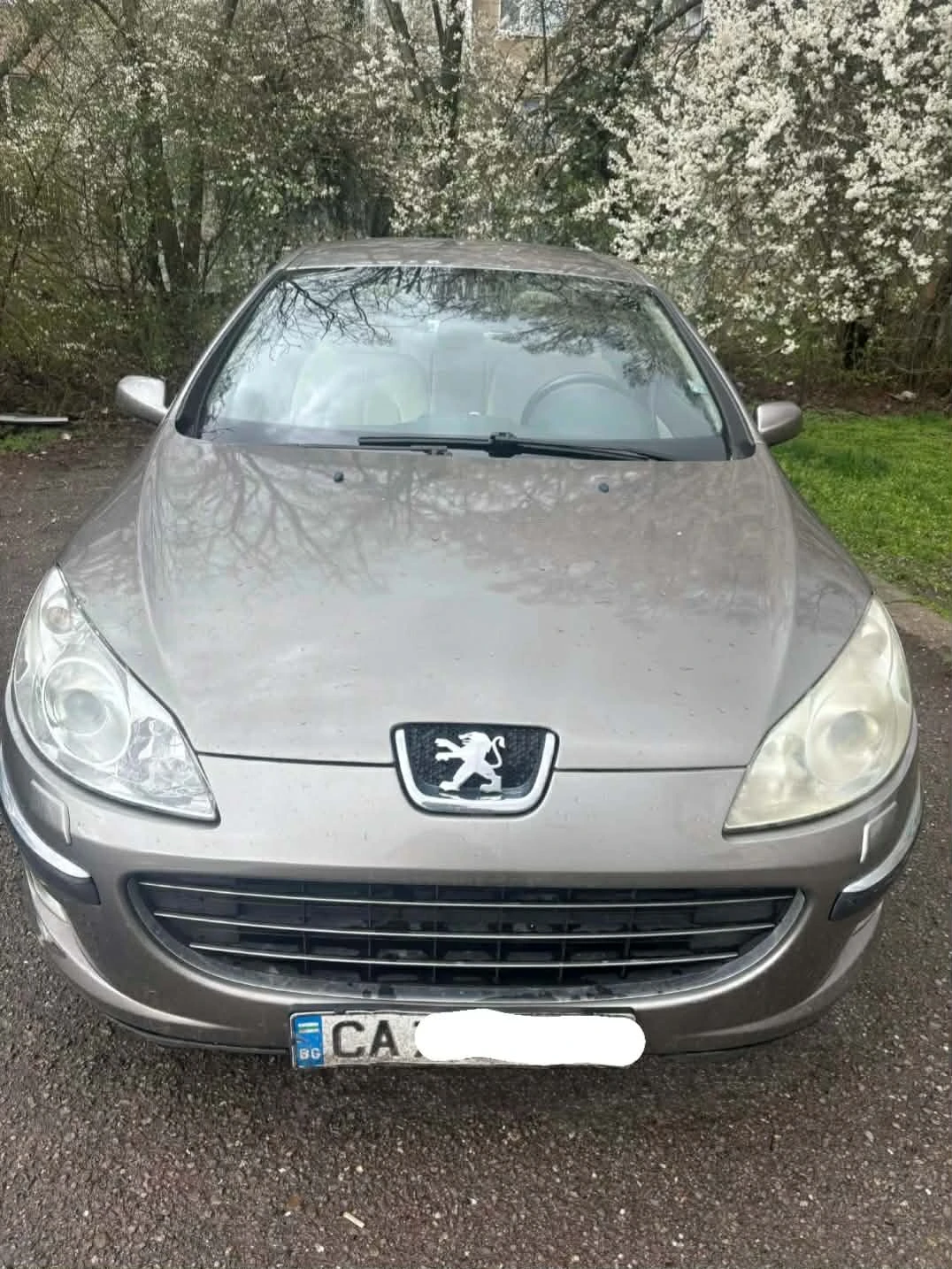 Peugeot 407