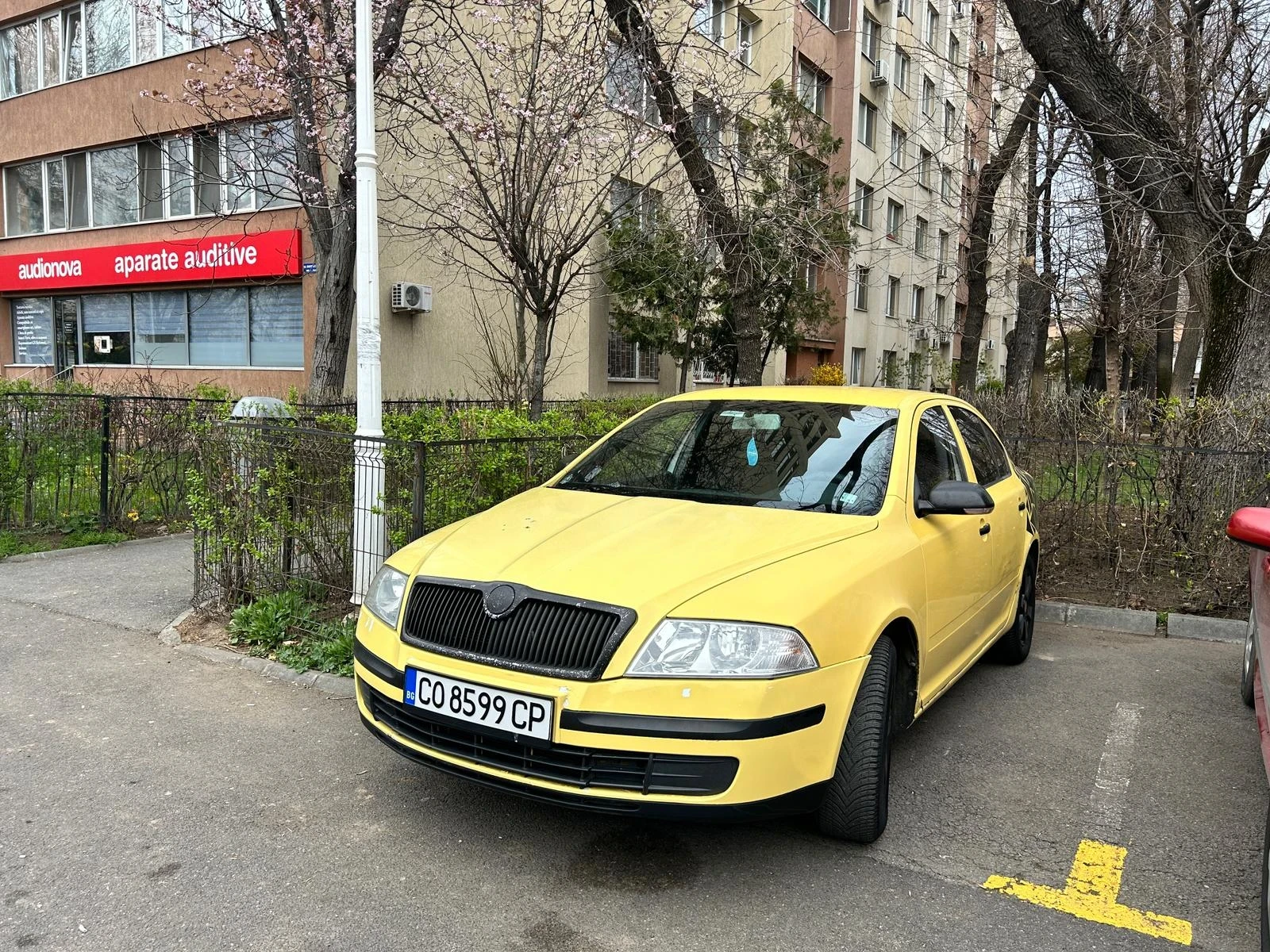 Skoda Octavia  - изображение 2