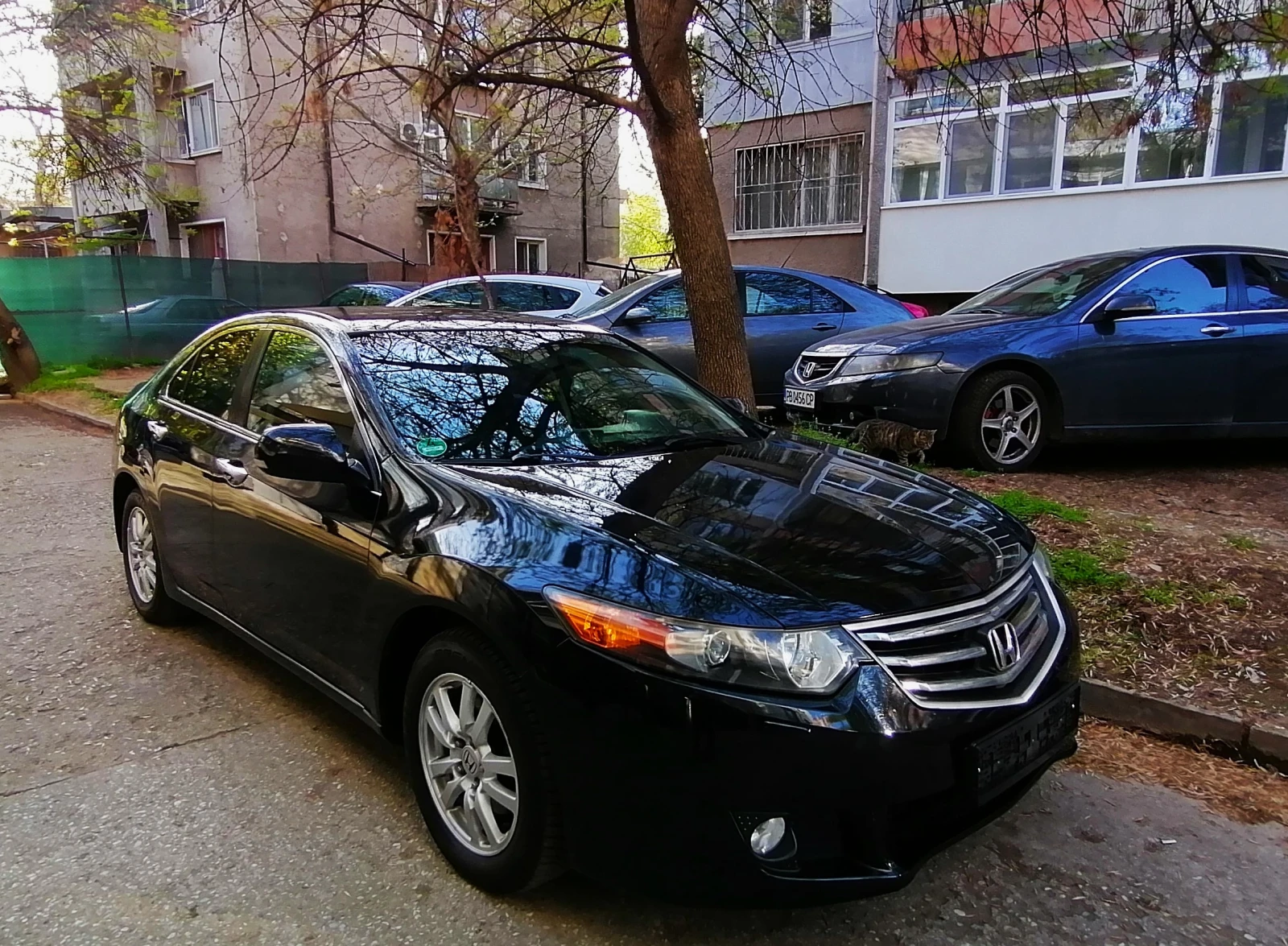 Honda Accord  2010г .2.0 i-VTEC-c История - изображение 4