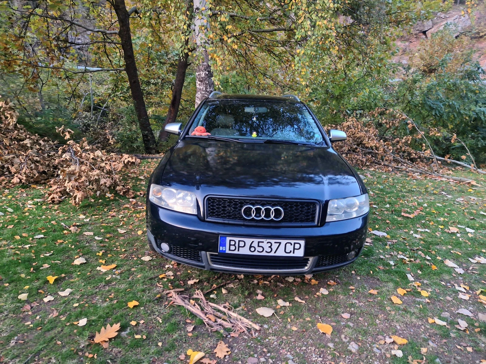 Audi A4  - изображение 2
