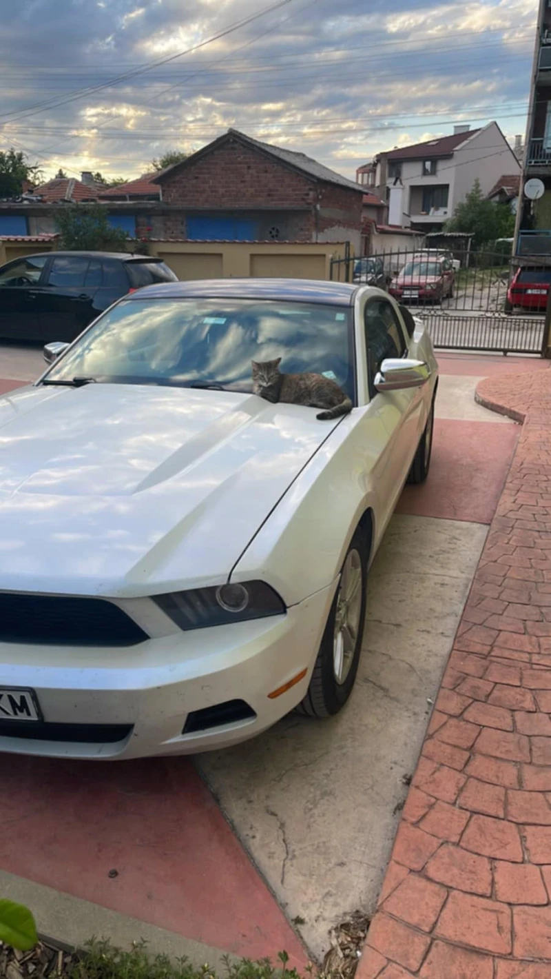 Ford Mustang, снимка 7 - Автомобили и джипове - 49275920