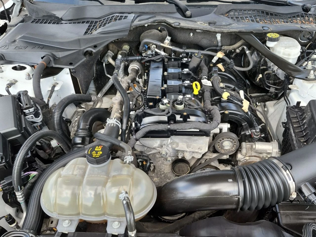 Ford Mustang ECOBOOST, снимка 16 - Автомобили и джипове - 55804582