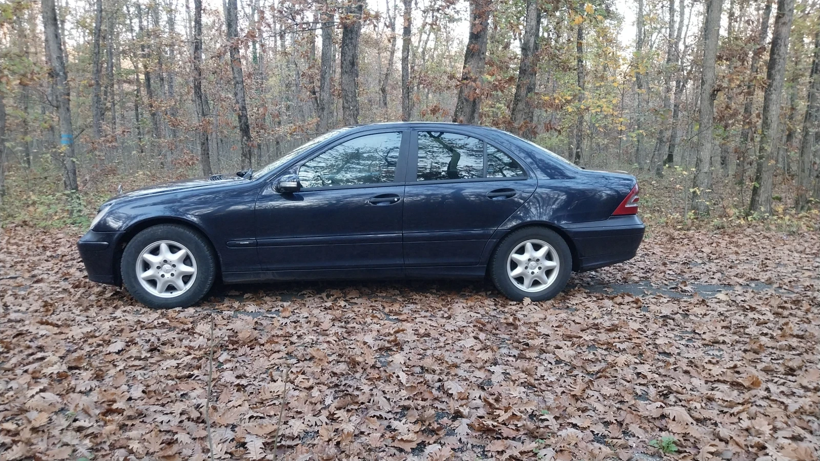 Mercedes-Benz C 220 | Mobile.bg   12