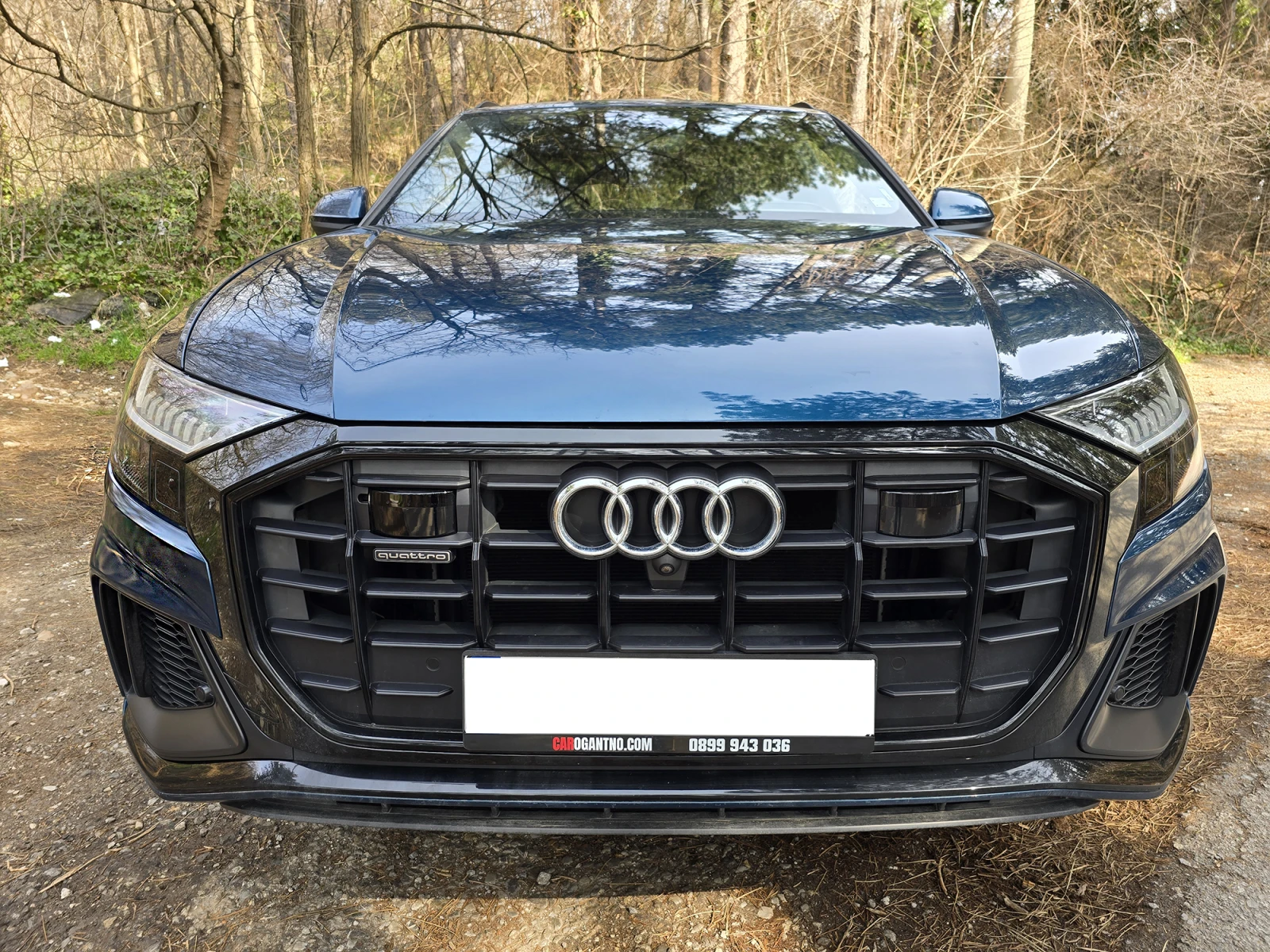 Audi Q8 Вакуум/Масаж/Bang&Olufsen, снимка 8 - Автомобили и джипове - 53479185