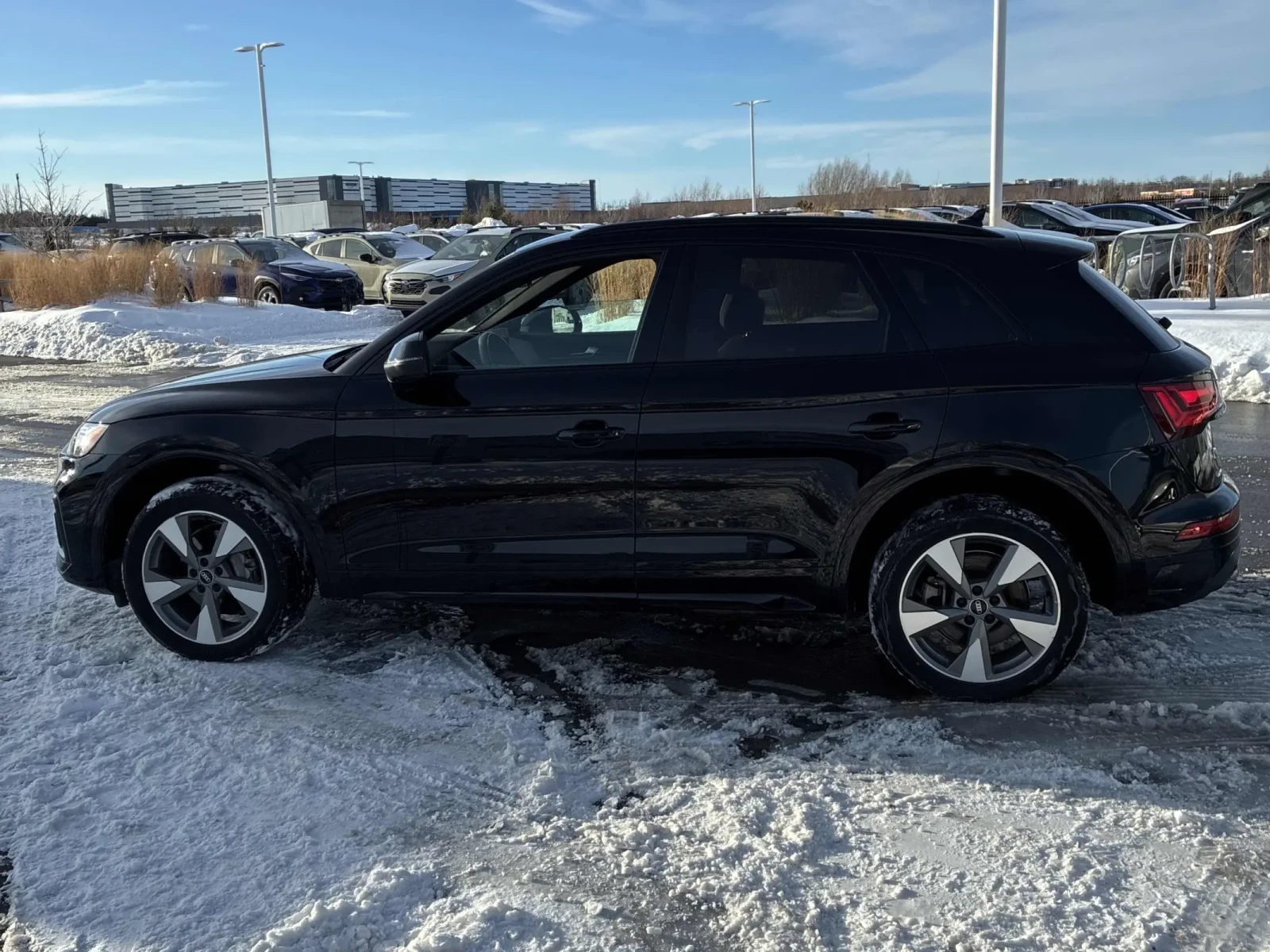 Audi Q5  /CARFAX / DISTRONIC / PANO / NAVI /  - изображение 4