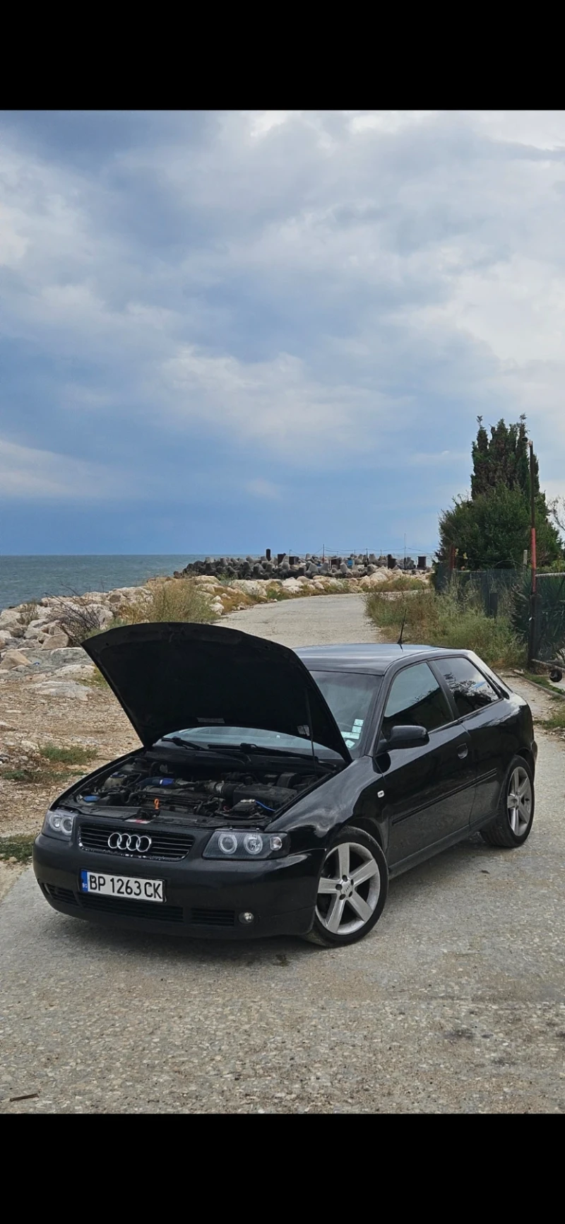 Audi A3 1.9TDI + , снимка 3 - Автомобили и джипове - 47511943