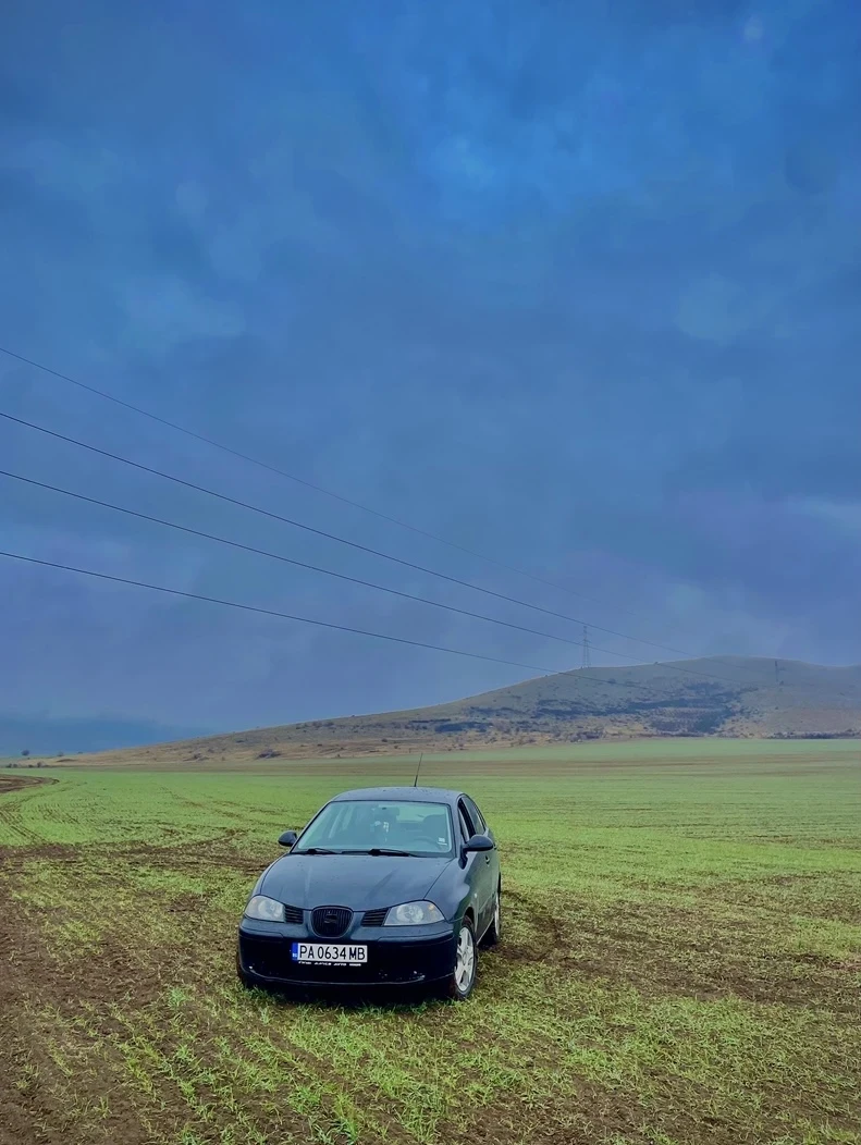 Seat Ibiza  - изображение 5