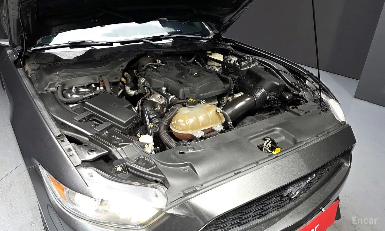 Ford Mustang 2.3* LIMITED* ПОДГРЕВ* ОБДУХВАНЕ* КАМЕРА* КЕЙЛЕС* , снимка 16 - Автомобили и джипове - 54700045