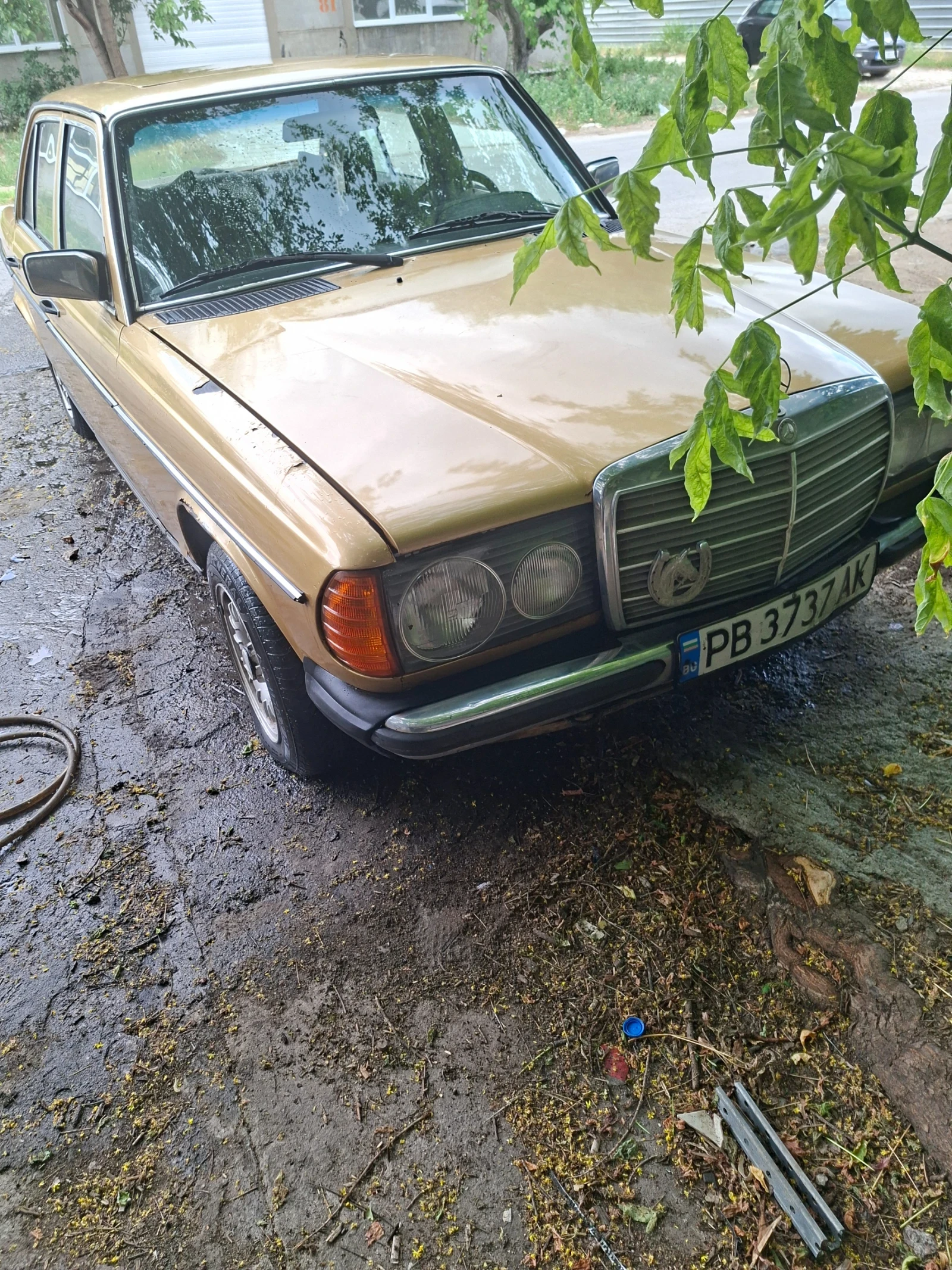 Mercedes-Benz 123, снимка 6 - Автомобили и джипове - 56004945