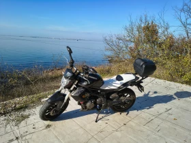 Benelli 304 302, снимка 2