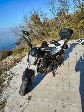 Benelli 304 302 | Mobile.bg    6