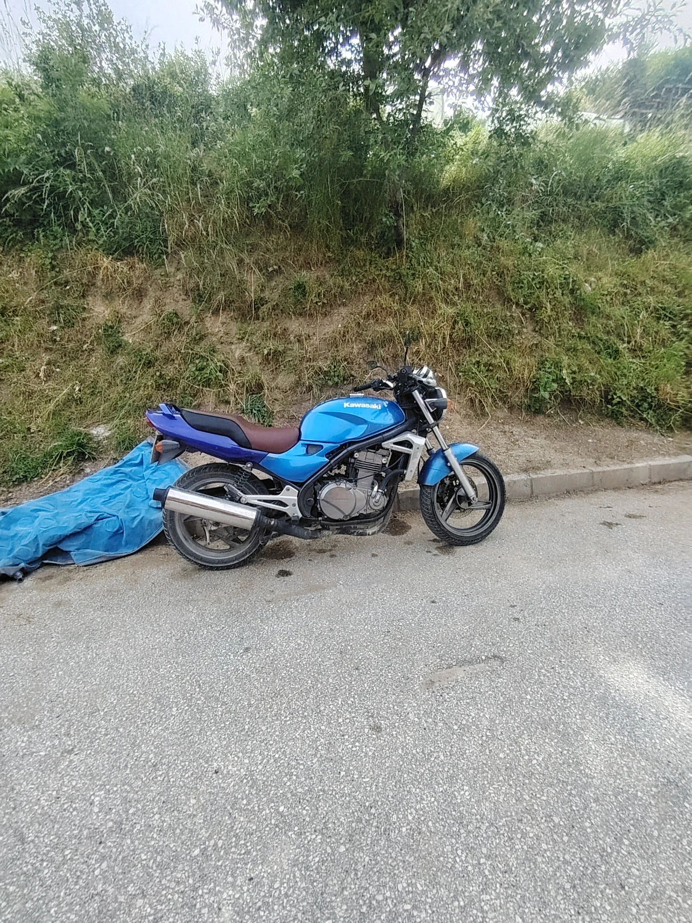 Kawasaki ER  - изображение 2