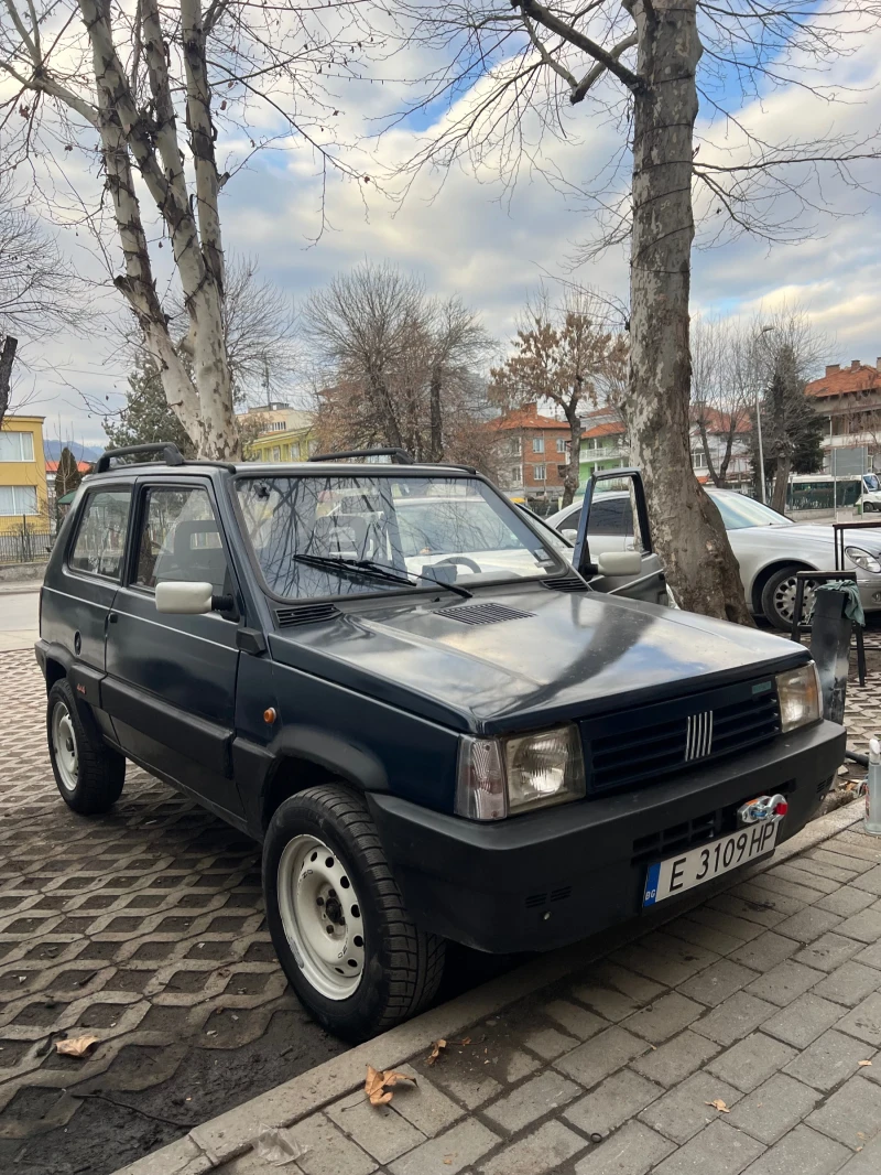 Fiat Panda 4x4, снимка 1 - Автомобили и джипове - 48995372