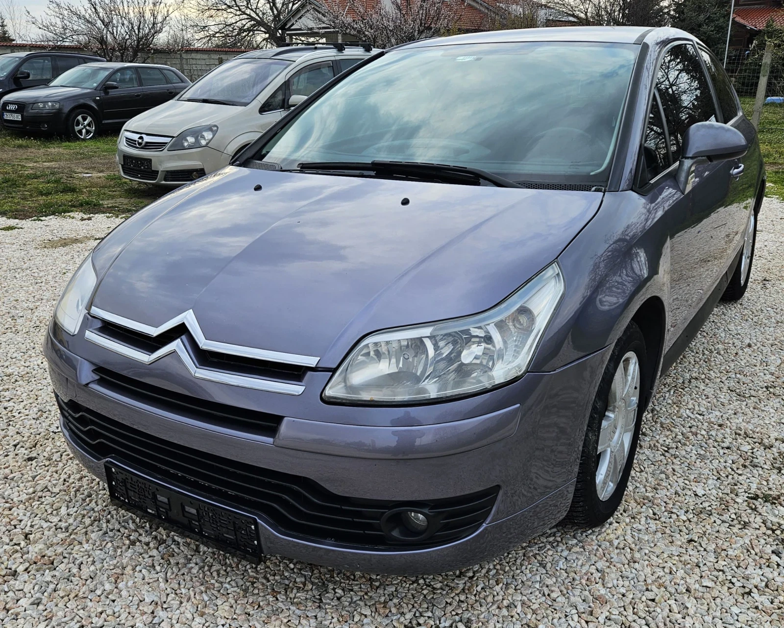 Citroen C4 2.0 HDI, снимка 2 - Автомобили и джипове - 53928717