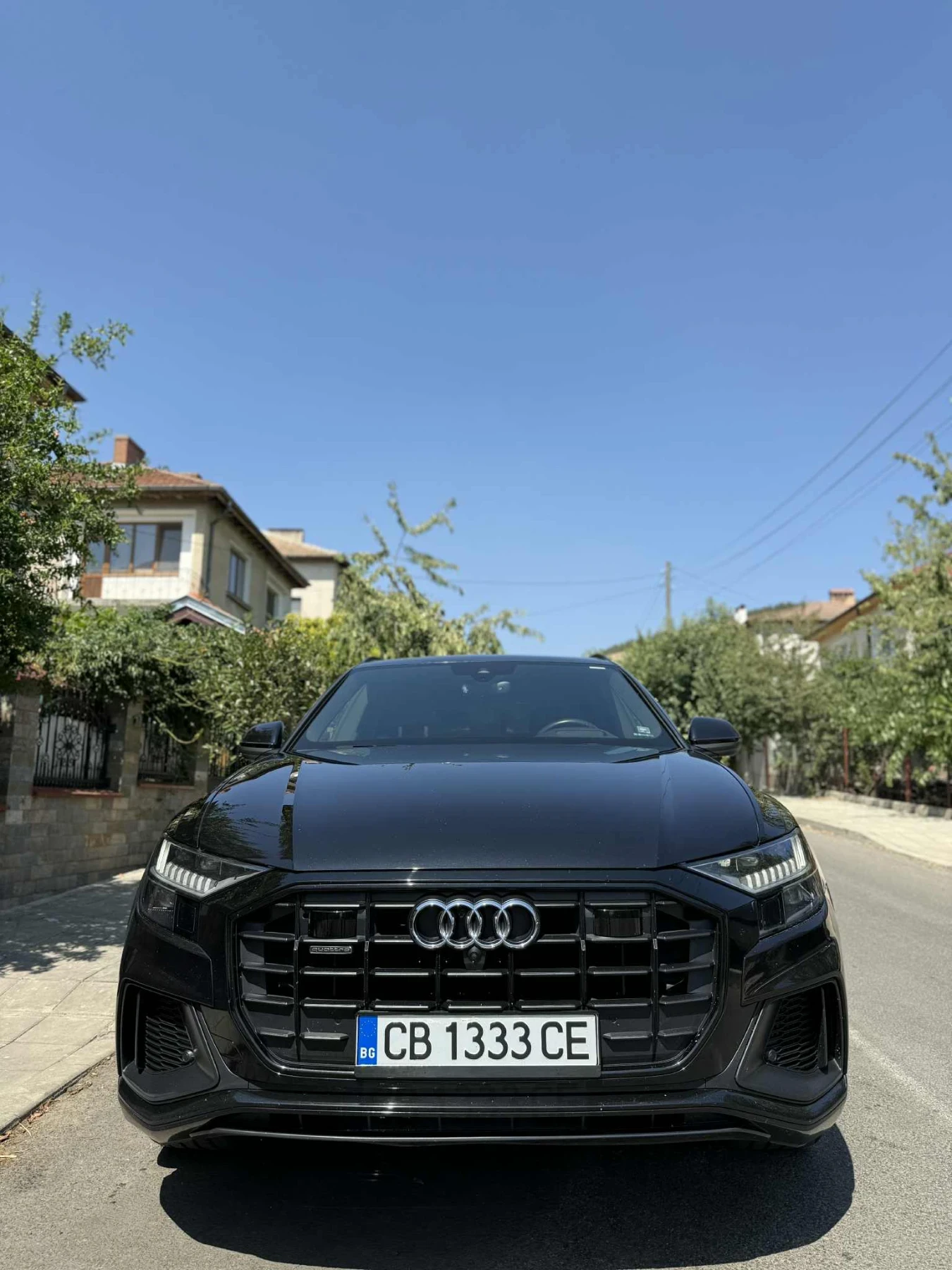 Audi Q8 Technik S-Line - изображение 2