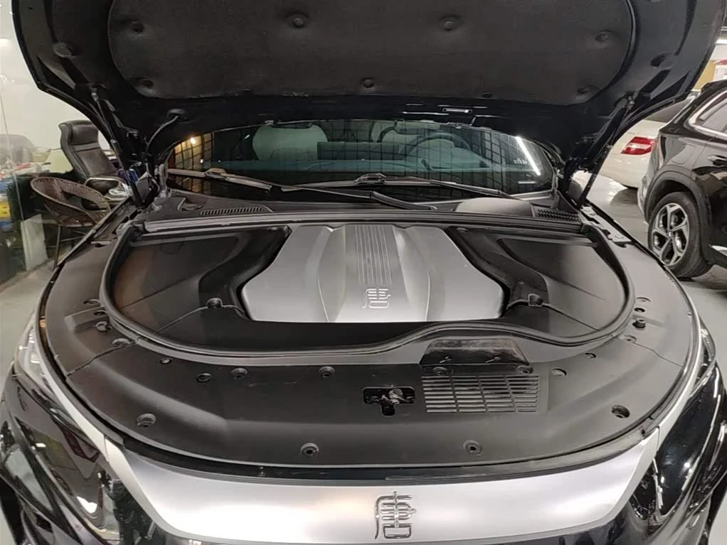 BYD Tang Champion Edition 600 km Premium Model autogeorge, снимка 11 - Автомобили и джипове - 54428123