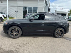 Alfa Romeo Stelvio * Intensa * АВТОКРЕДИТ БЕЗ ПЪРВОНАЧАЛНА ВНОСКА* , снимка 17