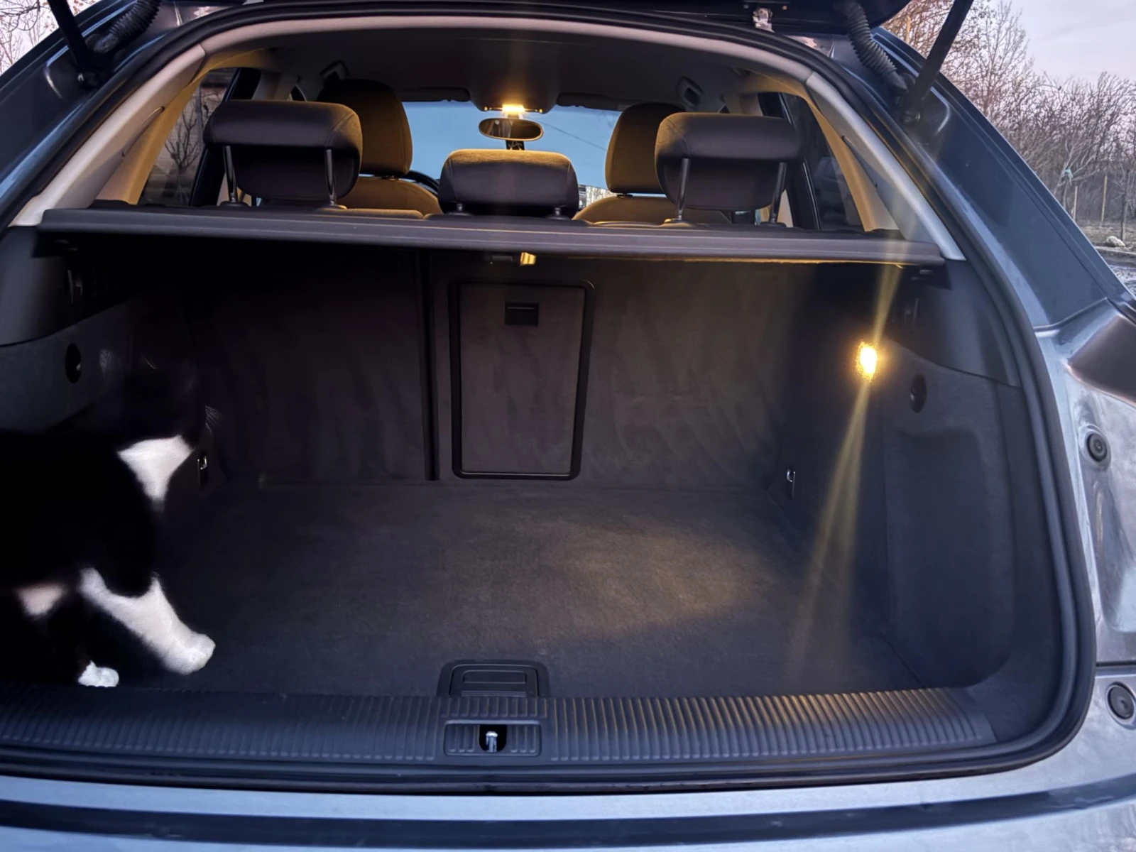 Audi Q3 | Mobile.bg � ����������� 13