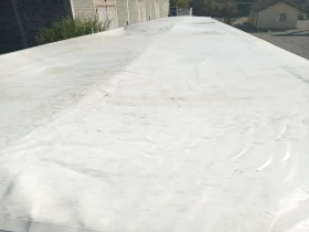  Benalu | Mobile.bg    10