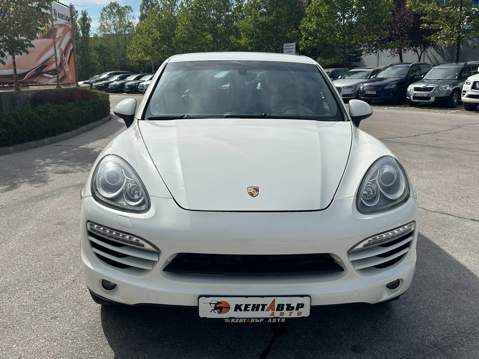 Porsche Cayenne 3.0d 239 к.с. - изображение 7