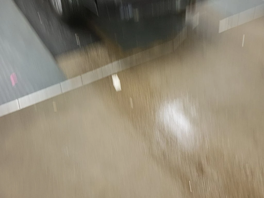 Ford F150 * XLT * CARFAX * ��� ������������ ������ | Mobile.bg � ����������� 4