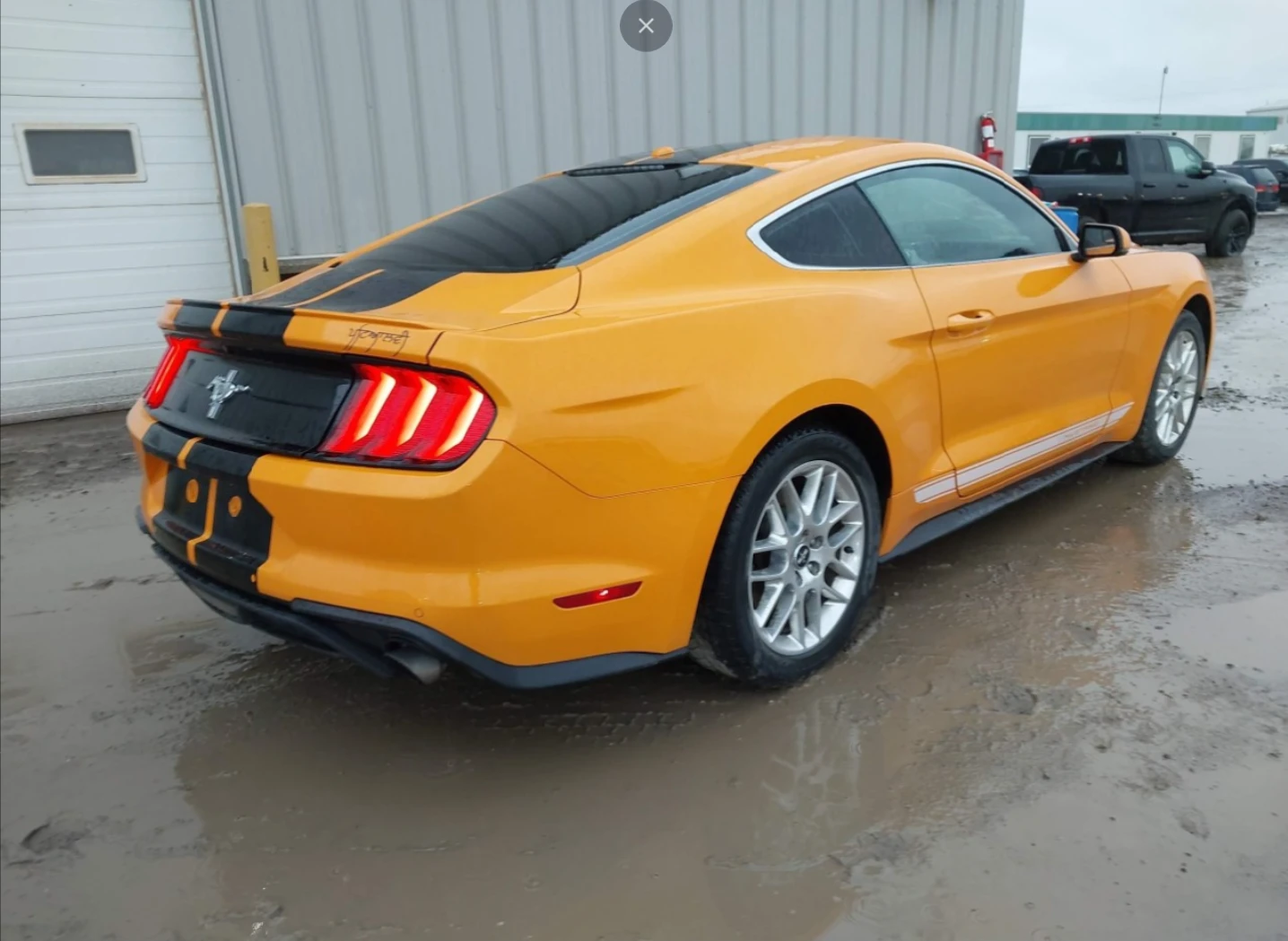 Ford Mustang 2.3 EcoBoost - изображение 4