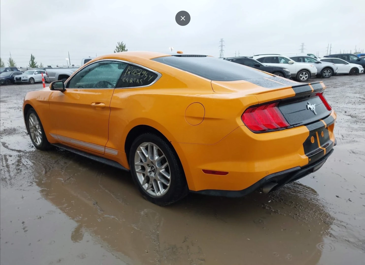 Ford Mustang 2.3 EcoBoost - изображение 6