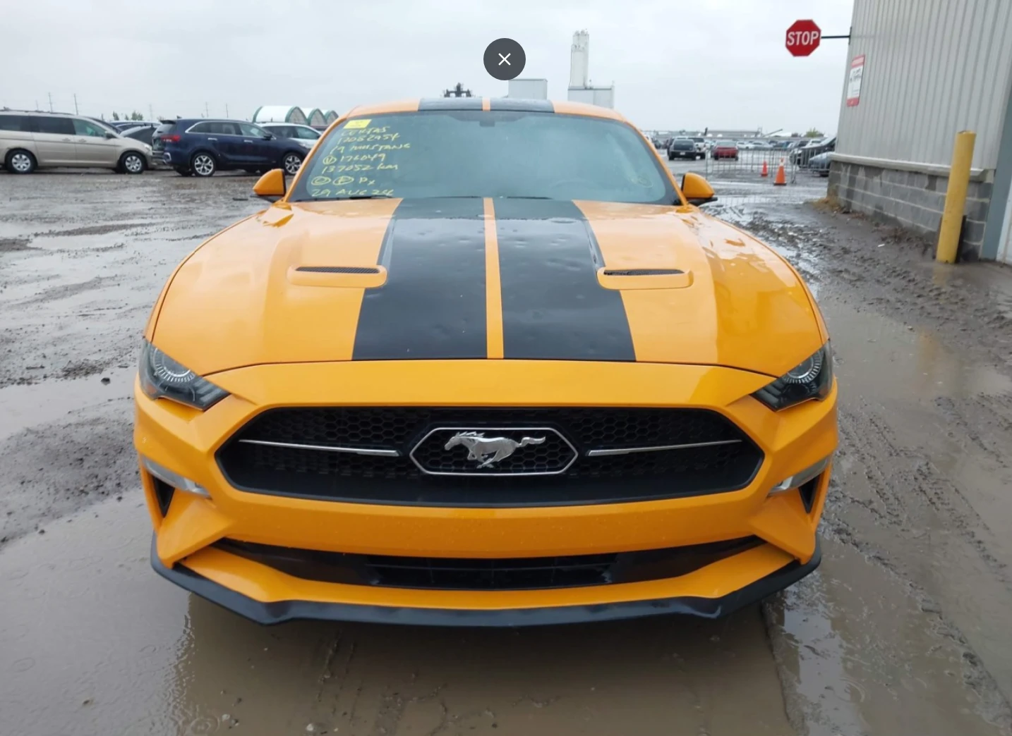 Ford Mustang 2.3 EcoBoost - изображение 2