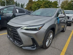 Lexus NX * 350 * CARFAX * 