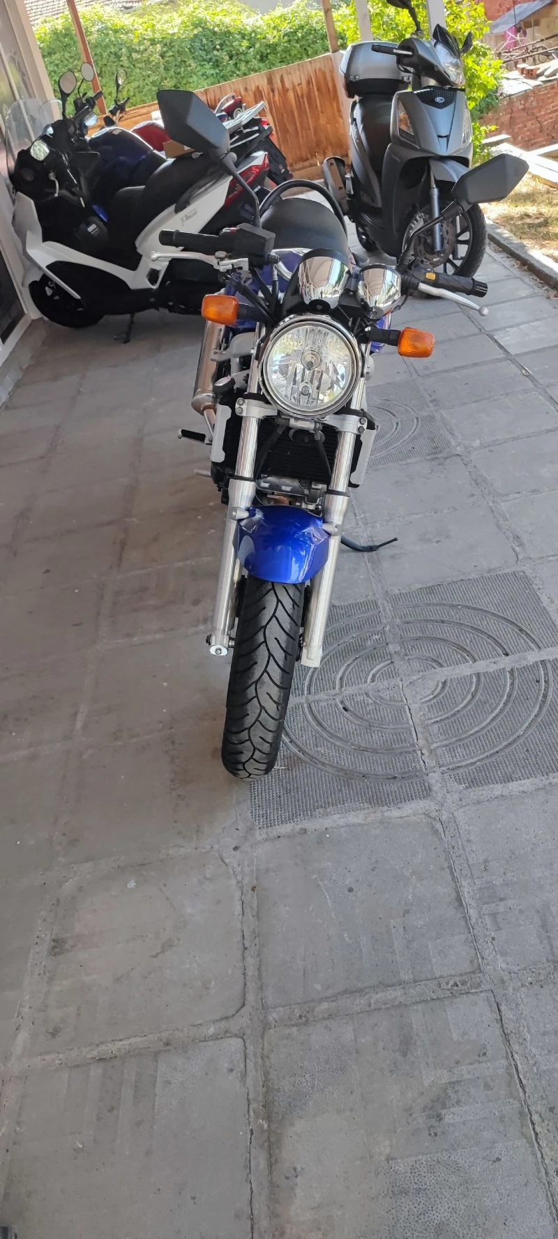 Suzuki SV, снимка 5 - Мотоциклети и мототехника - 50810934