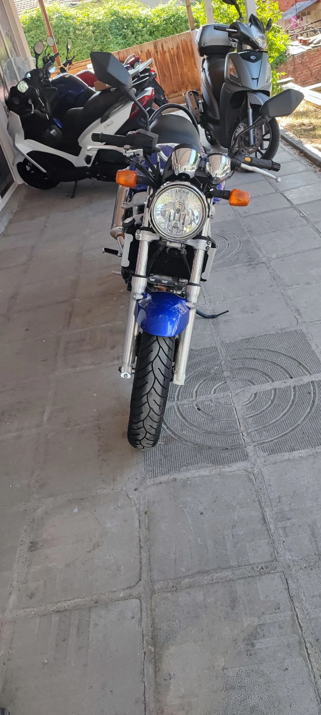 Suzuki SV  - изображение 5