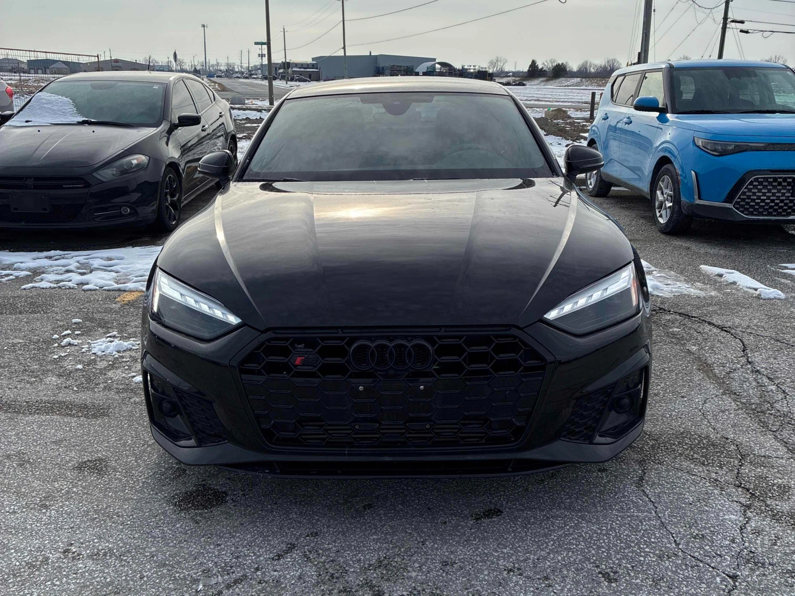 Audi S5 Progressiv * * CARFAX * * ���� ������ * *  | Mobile.bg � ����������� 2