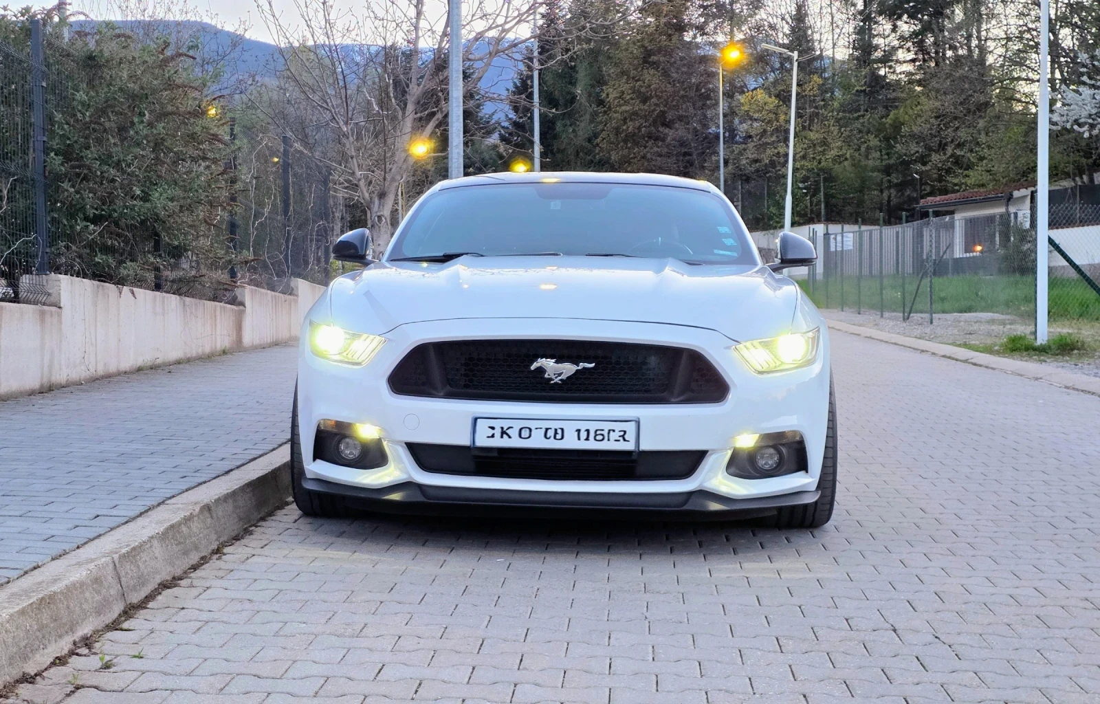 Ford Mustang GT, снимка 5 - Автомобили и джипове - 55084976