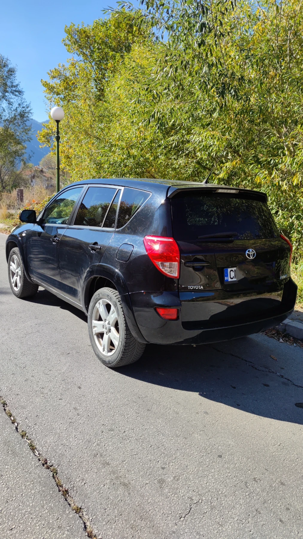 Toyota Rav4 D-cat - изображение 3