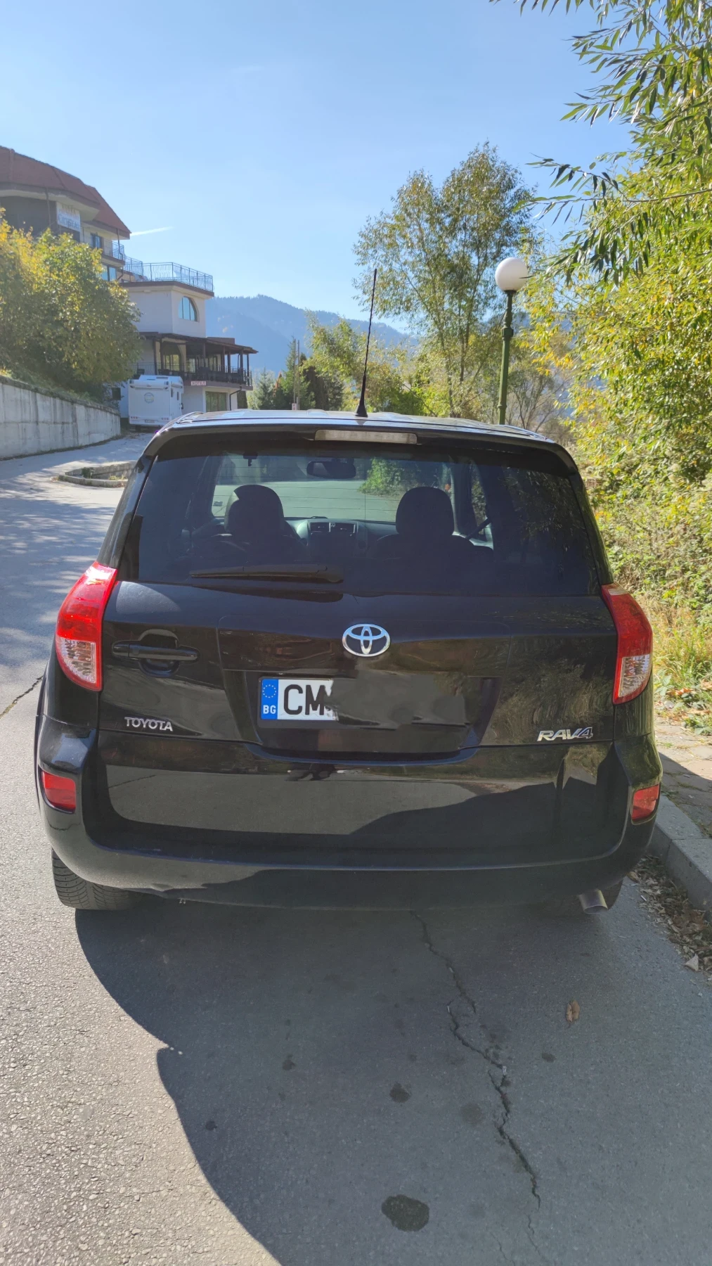 Toyota Rav4 D-cat - изображение 4