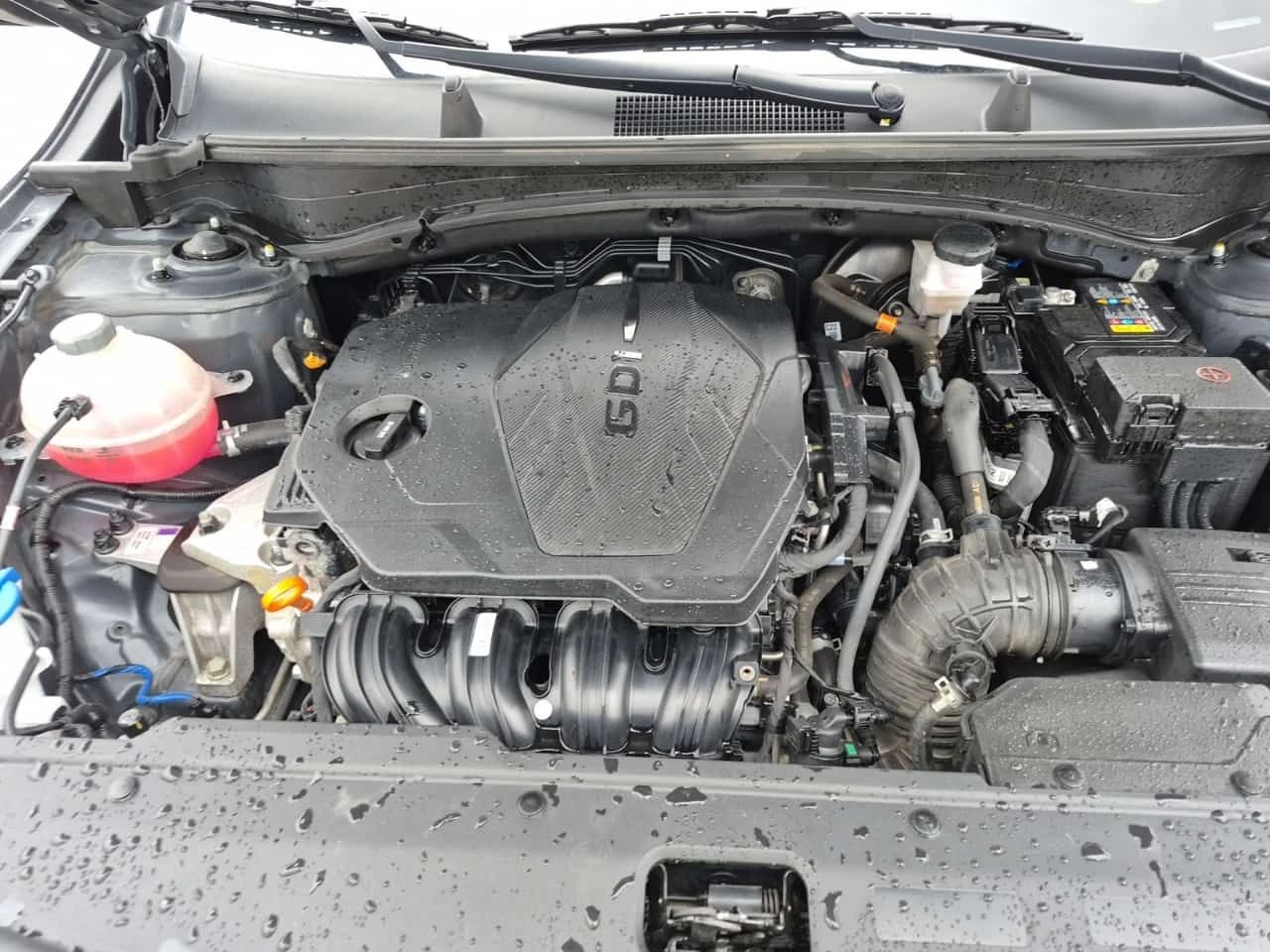 Kia Sportage X LINE LIMITED/CARFAX/���������/�������/�����/���� | Mobile.bg � ����������� 15