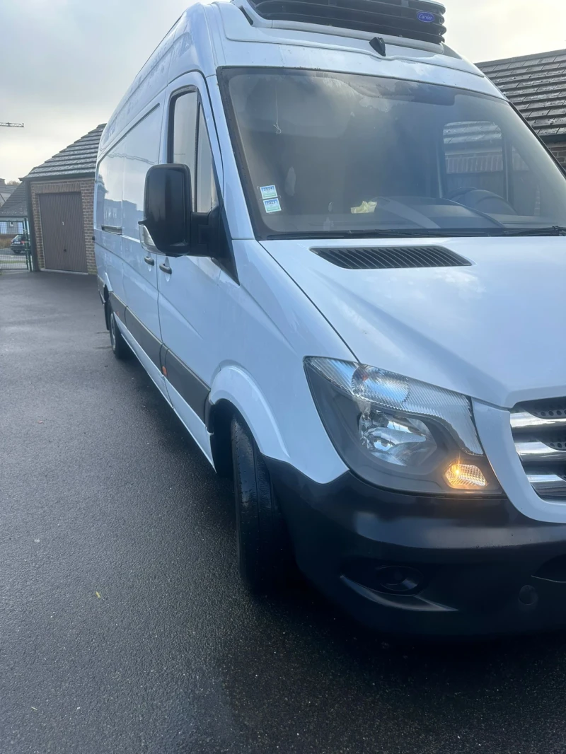 Mercedes-Benz Sprinter 319 Hladilen, снимка 12 - Бусове и автобуси - 52916973