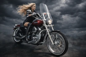 Harley-Davidson Sportster XL1200 Low, снимка 4