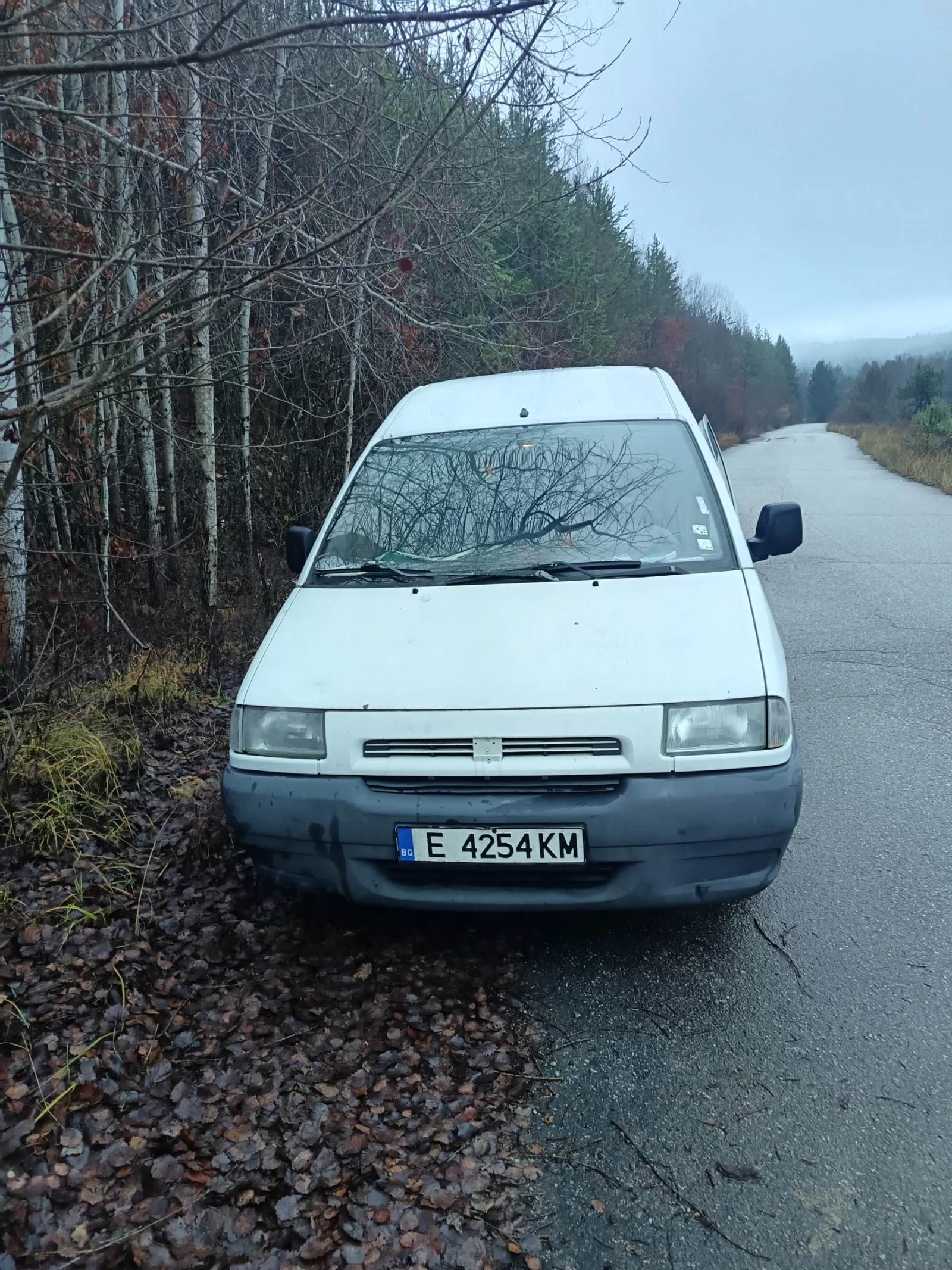 Fiat Scudo товарно - изображение 2