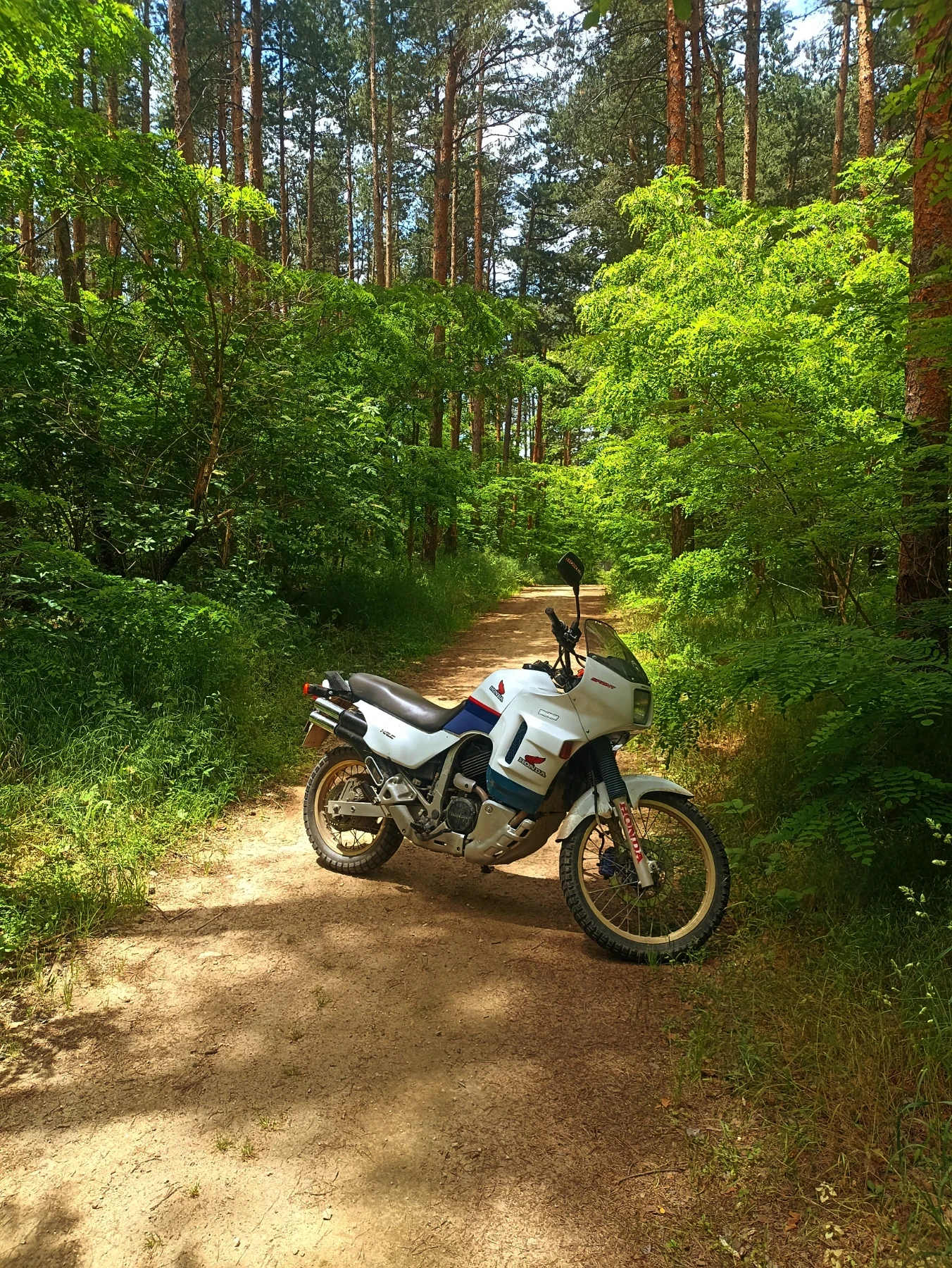 Honda Xlv Transalp 600 - изображение 9