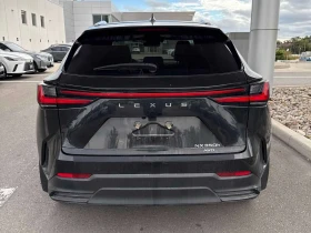 Lexus NX 350h | CARFAX | ГЛАВНО ПРЕДСТАВИТЕЛСТВО НА LEXUS - 39500 € - 54841971 5