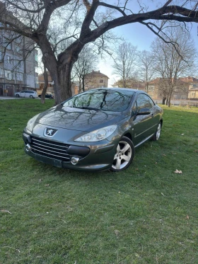 Peugeot 307 JBL аудио, снимка 1