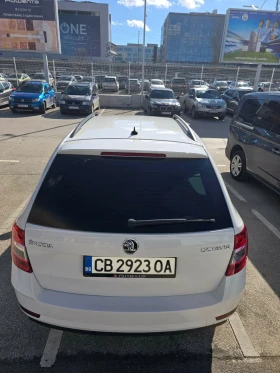 Skoda Octavia - 12500 € / 24447.88 лв. - 19575937 2